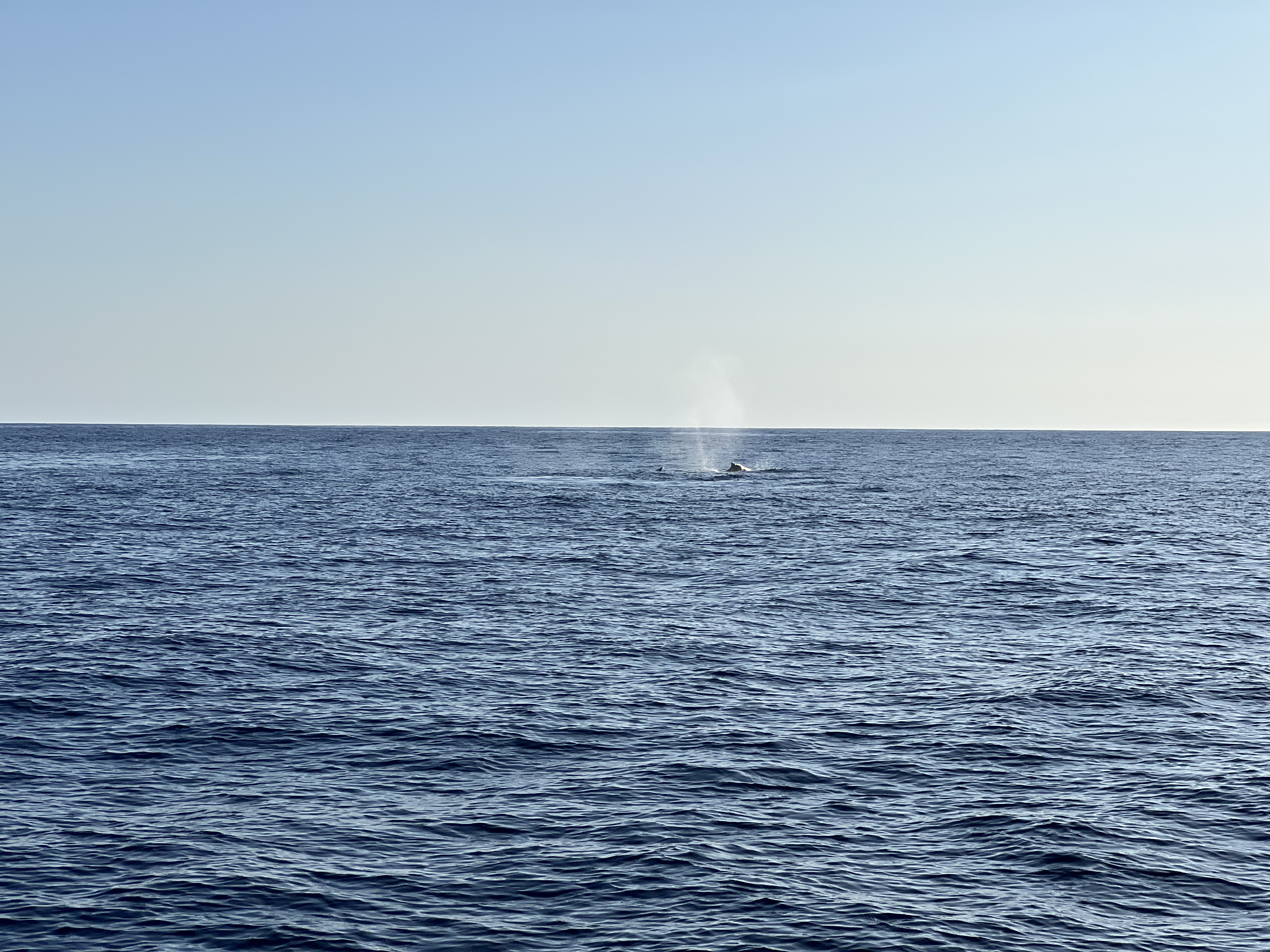 ./2024/13 - Cabo/IMG_4665.jpg